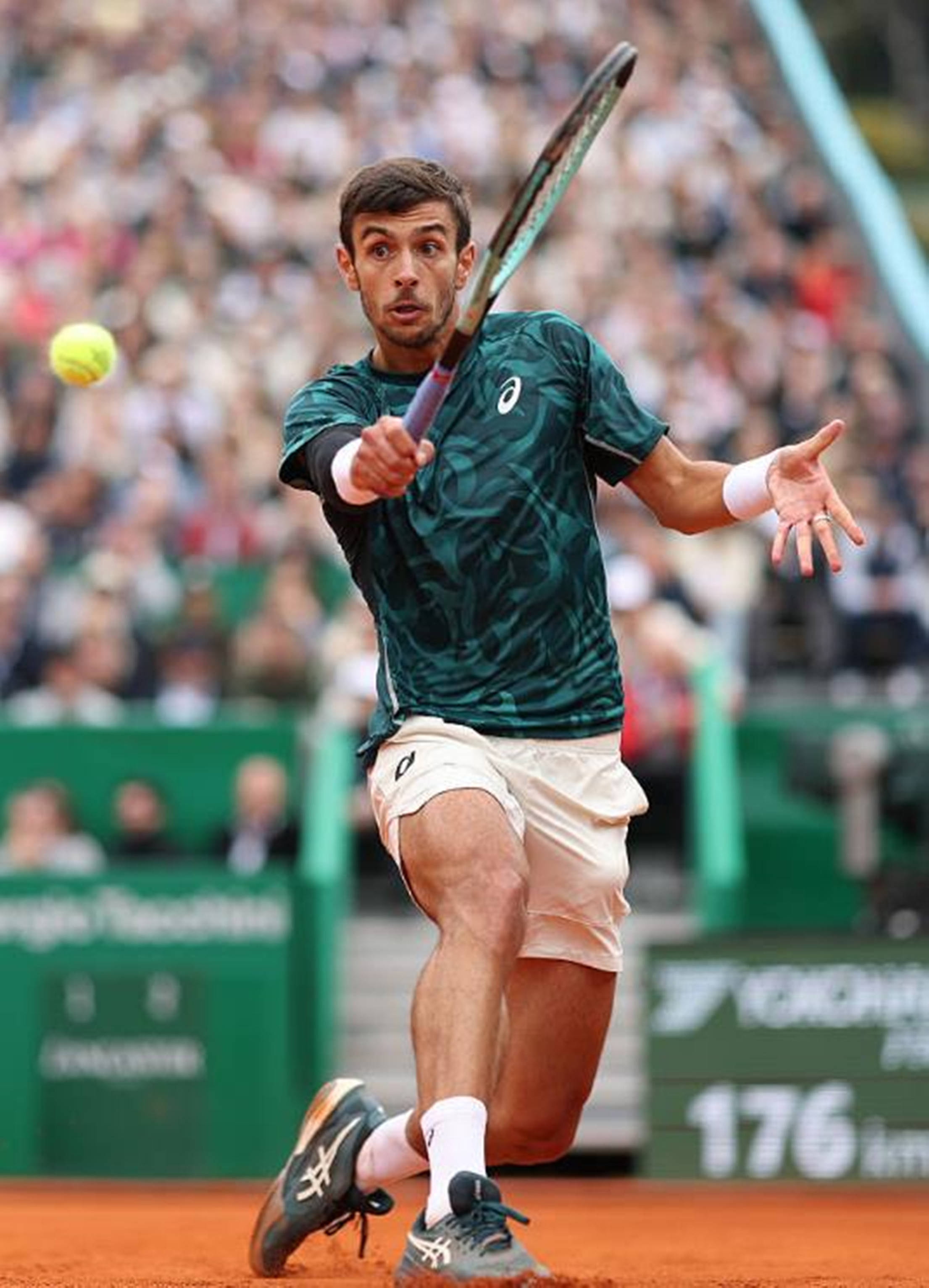 人的篮球水 人的篮球水