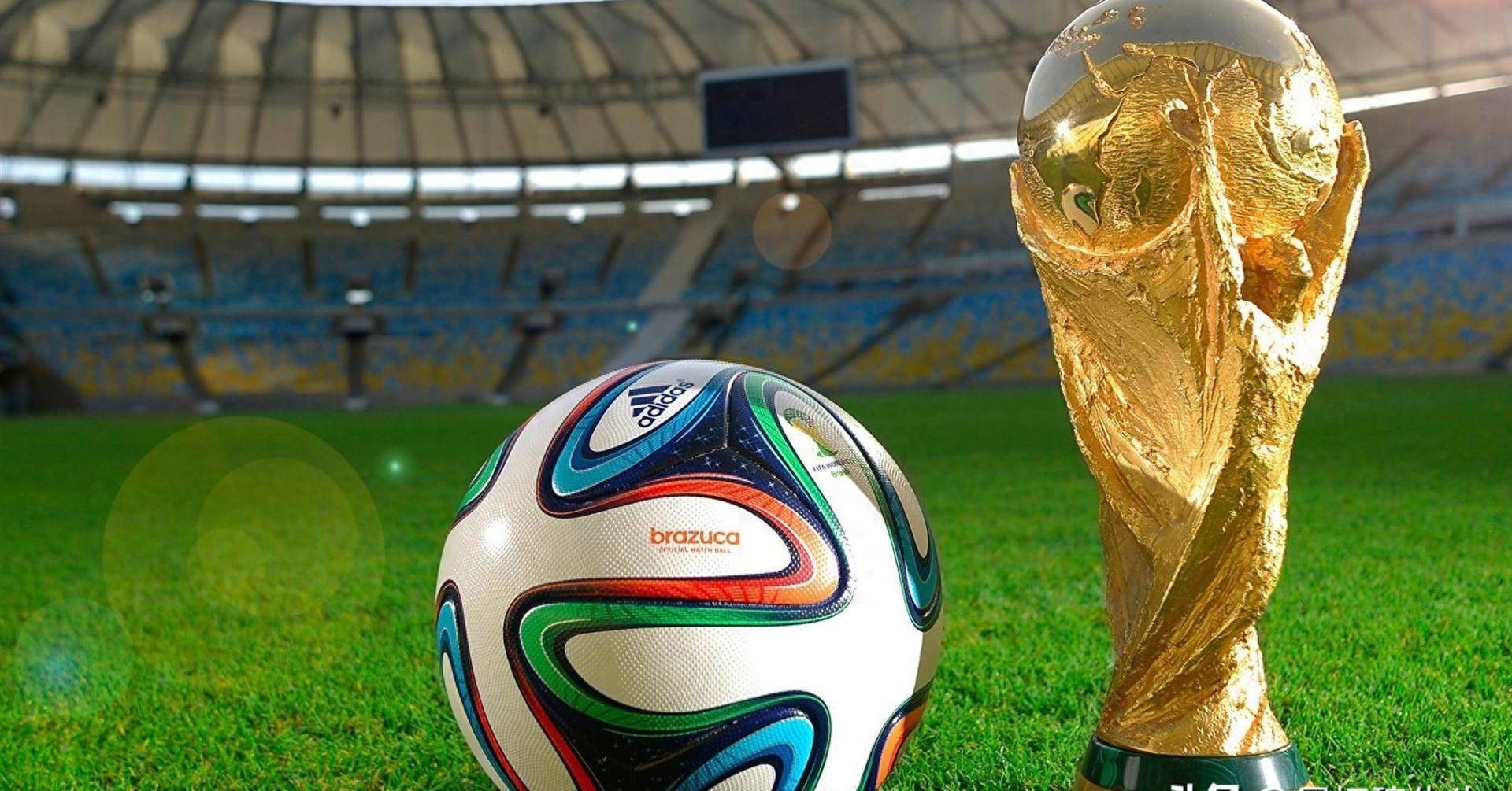 满了不确定 满了不确定